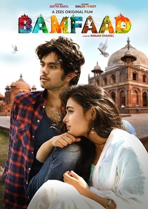 Bamfaad 2020 Hindi Movie 480p HDRip - [300MB]