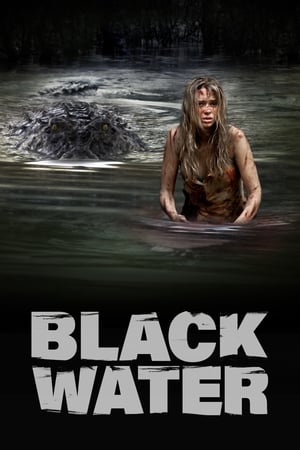 Black Water (2007) Hindi Dual Audio 480p BluRay 300MB