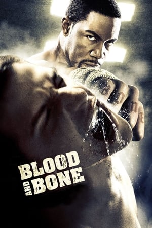 Blood and Bone (2009) Hindi Dual Audio 480p BluRay 300MB