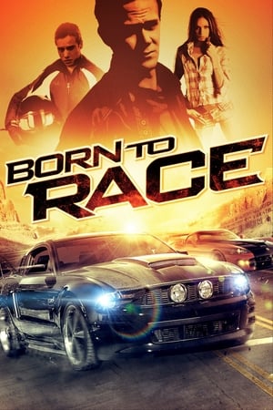 Born to Race 2011 Hindi Dual Audio 480p BluRay 300MB
