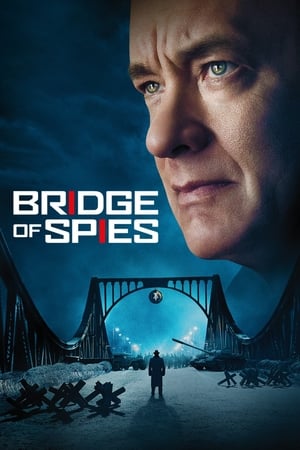 Bridge of Spies (2015) Hindi Dual Audio 480p BluRay 450MB