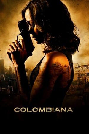 Colombiana (2011) Hindi Dual Audio 720p BluRay [1.1GB]