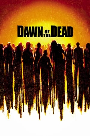 Dawn of the Dead (2004) Hindi Dual Audio Movie 720p BluRay - 1GB