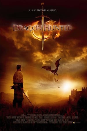 Dragon Hunter (2009) Hindi Dual Audio 720p BluRay [1GB]
