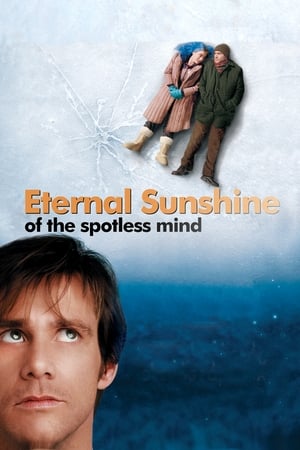 Eternal Sunshine Of The Spotless Mind 2004 Hindi Dual Audio 480p BluRay 300MB