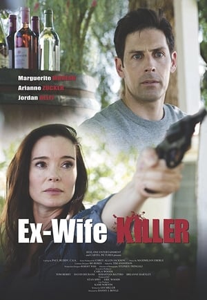 Ex-Wife Killer (2017) Hindi Dual Audio 720p WebRip [930MB]