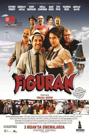 Figuran (2015) Hindi Dual Audio 480p BluRay 330MB