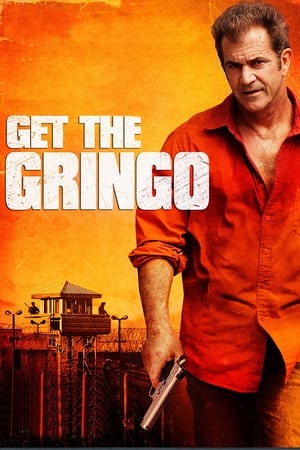 Get the Gringo (2012) Hindi Dual Audio 480p BluRay 300MB