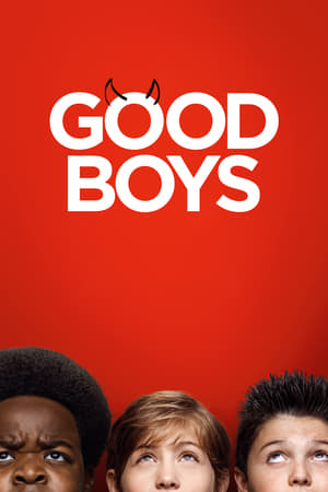 Good Boys (2019) Hindi Dual Audio 720p HDRip [900MB]