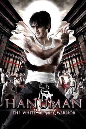 Hanuman The White Monkey Warrior 2008 Hindi Dual Audio 720p BluRay [1.1GB]