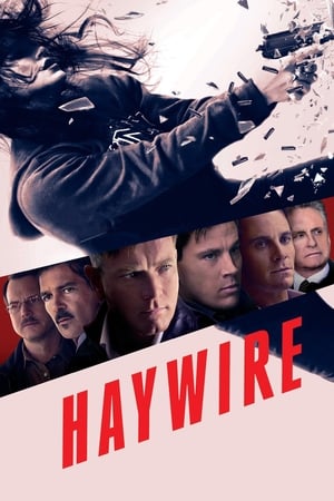 Haywire (2011) Hindi Dual Audio 720p BluRay [700MB]