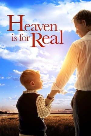 Heaven Is for Real (2014) Hindi Dual Audio 480p BluRay 300MB