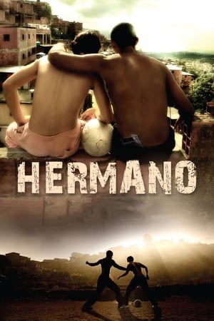 Hermano (2010) Hindi Dual Audio 720p Web-DL [1.2GB]