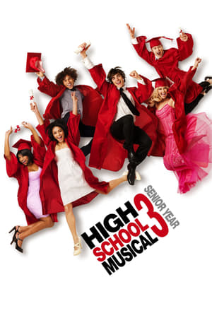 High School Musical 3 (2008) Hindi Dual Audio 720p BluRay [950MB]