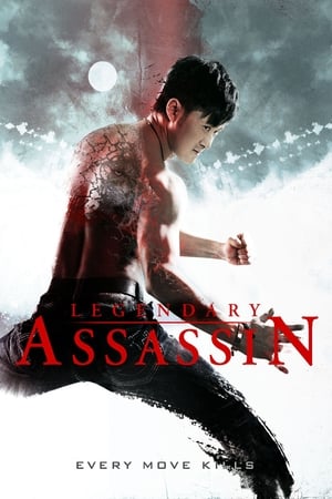 Legendary Assassin (2008) Hindi Dual Audio 720p BluRay [1GB]