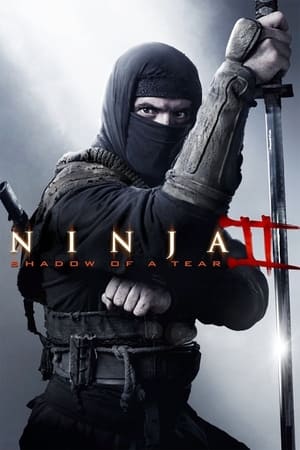 Ninja Shadow of a Tear 2013 Hindi Dual Audio 480p BluRay 300MB