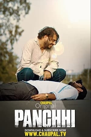 Panchhi (2021) Punjabi Movie 720p HDRip x264 [750MB]