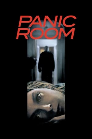 Panic Room (2002) Hindi Dual Audio 480p BluRay 350MB