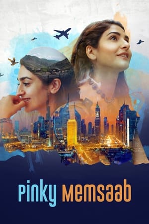 Pinky Memsaab 2018 Urdu Movie 720p HDRip x264 [1GB]
