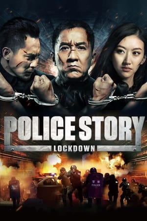 Police Story: Lockdown (2013) Hindi Dual Audio 720p BluRay [1GB]