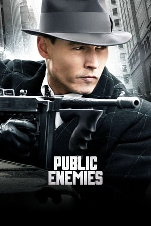 Public Enemies (2009) Hindi Dual Audio Movie 720p BluRay - 1.1GB