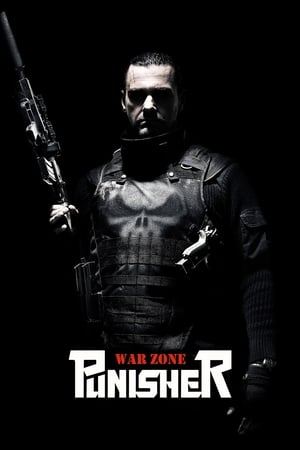 Punisher: War Zone (2008) Hindi Dual Audio 720p BluRay [880MB]