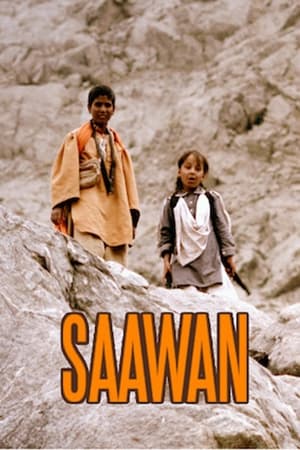 Saawan (2016) Urdu Movie 480p HDRip - [360MB]