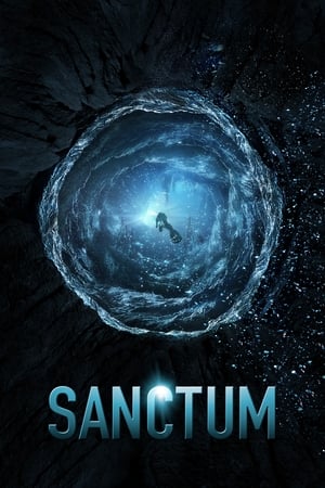 Sanctum (2011) Hindi Dual Audio 480p BluRay 400MB
