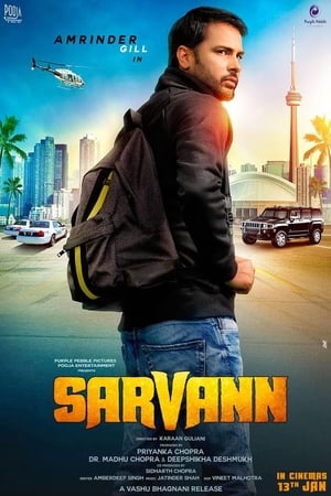 Sarvann (2017) Movie Punjabi PDVDRip [650MB] Download