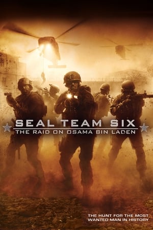 Seal Team Six: The Raid on Osama Bin Laden (2012) Hindi Dual Audio 480p BluRay 300MB