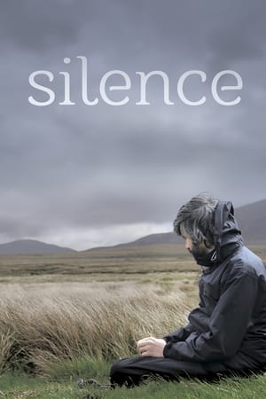 Silence (2013) Hindi Movie 480p HDRip - [300MB]
