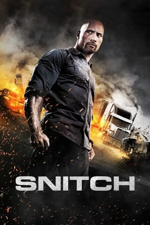 Snitch (2013) Hindi Dual Audio 720p BluRay [930MB]