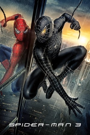 Spider-Man 3 (2007) Hindi Dual Audio 480p BluRay 300MB