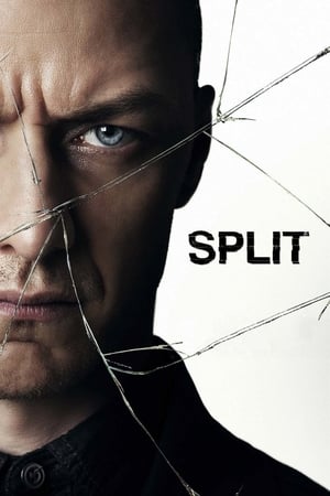 Split (2016) Hindi Dual Audio 720p BluRay [1GB]