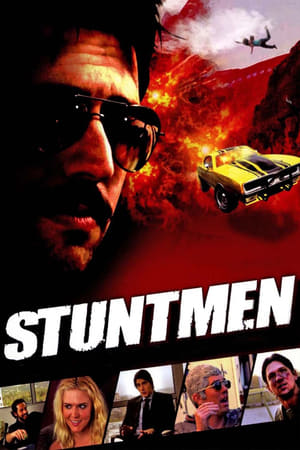 Stuntmen 2009 Hindi Dual Audio 720p WebRip [800MB]