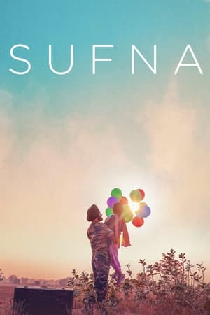 Sufna (2020) Hindi Movie 720p HDRip x264 [1GB]