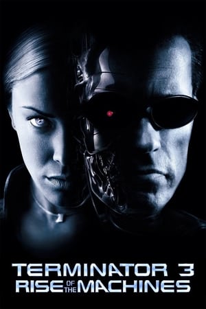 Terminator 3: Rise of the Machines (2003) Hindi Dual Audio 480p BluRay 350MB
