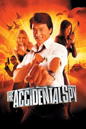 The Accidental Spy 2001 300MB Hindi Dubbed 480p HDRip Download