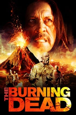 The Burning Dead (2015) Hindi Dual Audio 480p BluRay 300MB