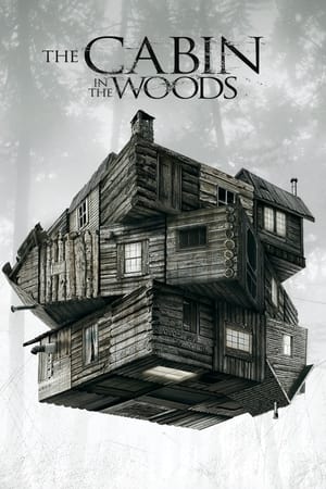 The Cabin in the Woods (2011) Hindi Dual Audio 720p BluRay [990MB]