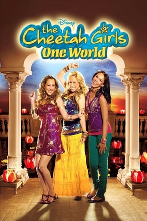 The Cheetah Girls: One World (2008) Hindi Dual Audio 720p BluRay [900MB]