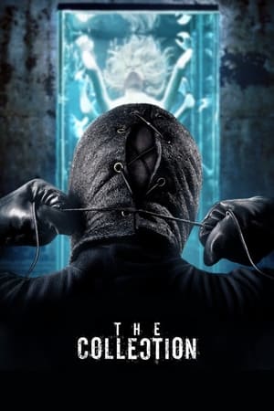 The Collection (2012) Hindi Dual Audio 720p BluRay [800MB]