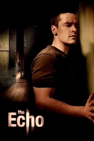 The Echo (2008) Hindi Dual Audio 720p BluRay [900MB]