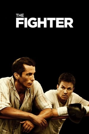 The Fighter (2010) Hindi Dual Audio 480p BluRay 360MB