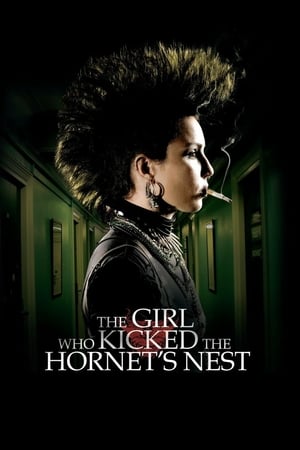 The Girl Who Kicked the Hornet's Nest (2009) Hindi Dual Audio 720p BluRay [1.2GB]