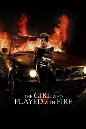 The Girl Who Played with Fire (2009) Hindi Dual Audio 720p BluRay [800MB]