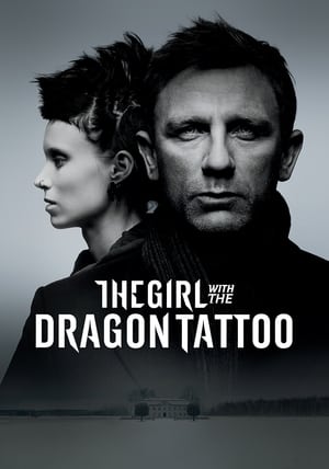 The Girl with the Dragon Tattoo 2011 Hindi Dual Audio 720p BluRay [1.2GB]