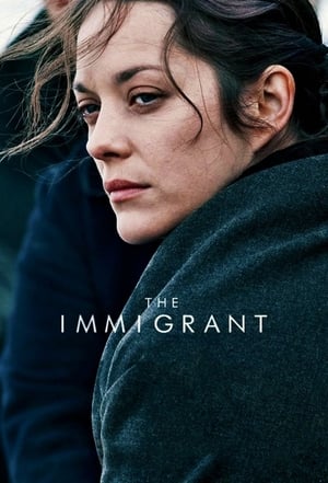The Immigrant (2013) Hindi Dual Audio 480p BluRay 300MB