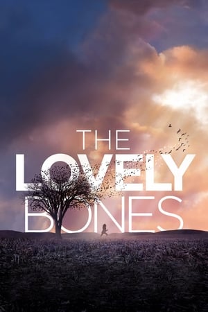 The Lovely Bones (2009) Hindi Dual Audio 480p BluRay 430MB