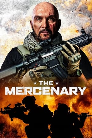 The Mercenary (2019) Hindi Dual Audio 720p BluRay [900MB]